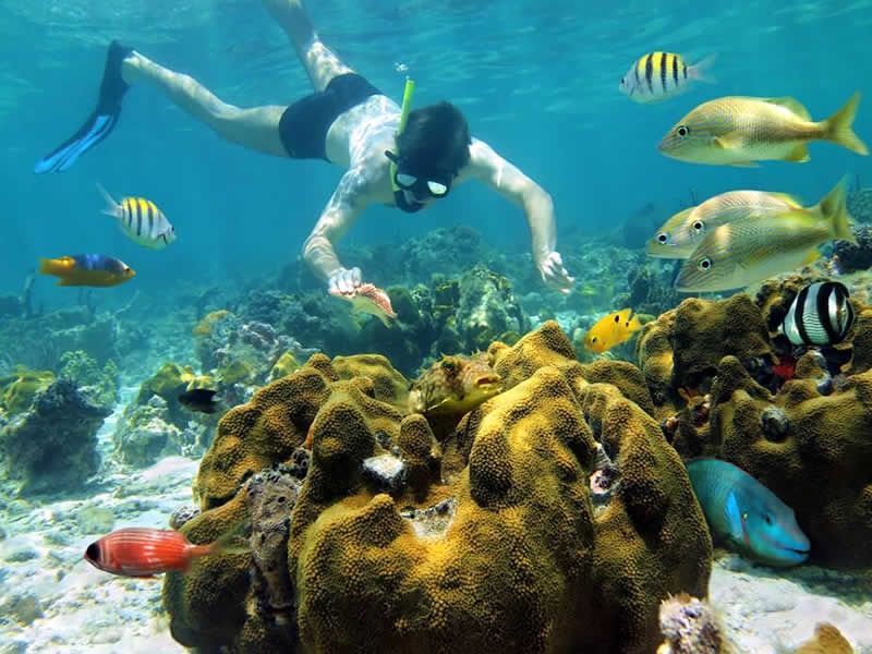 Vallarta By Boat Tours En Puerto Vallarta
